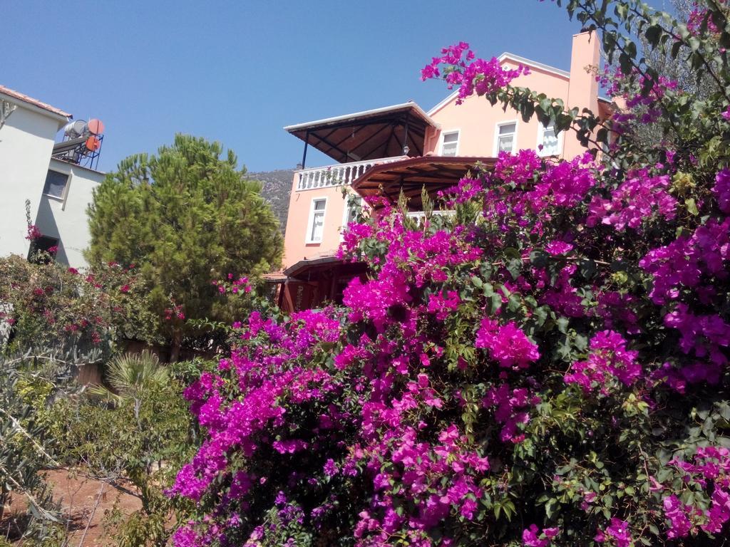 Villa Koknar Pension Kas Room photo