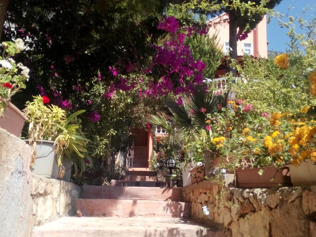 Villa Koknar Pension Kas Room photo
