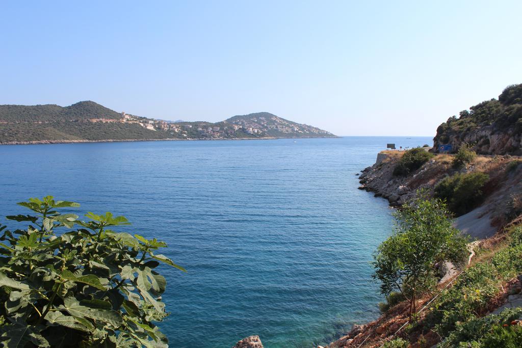 Villa Koknar Pension Kas Room photo